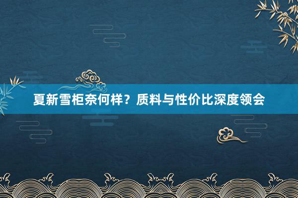 夏新雪柜奈何样？质料与性价比深度领会